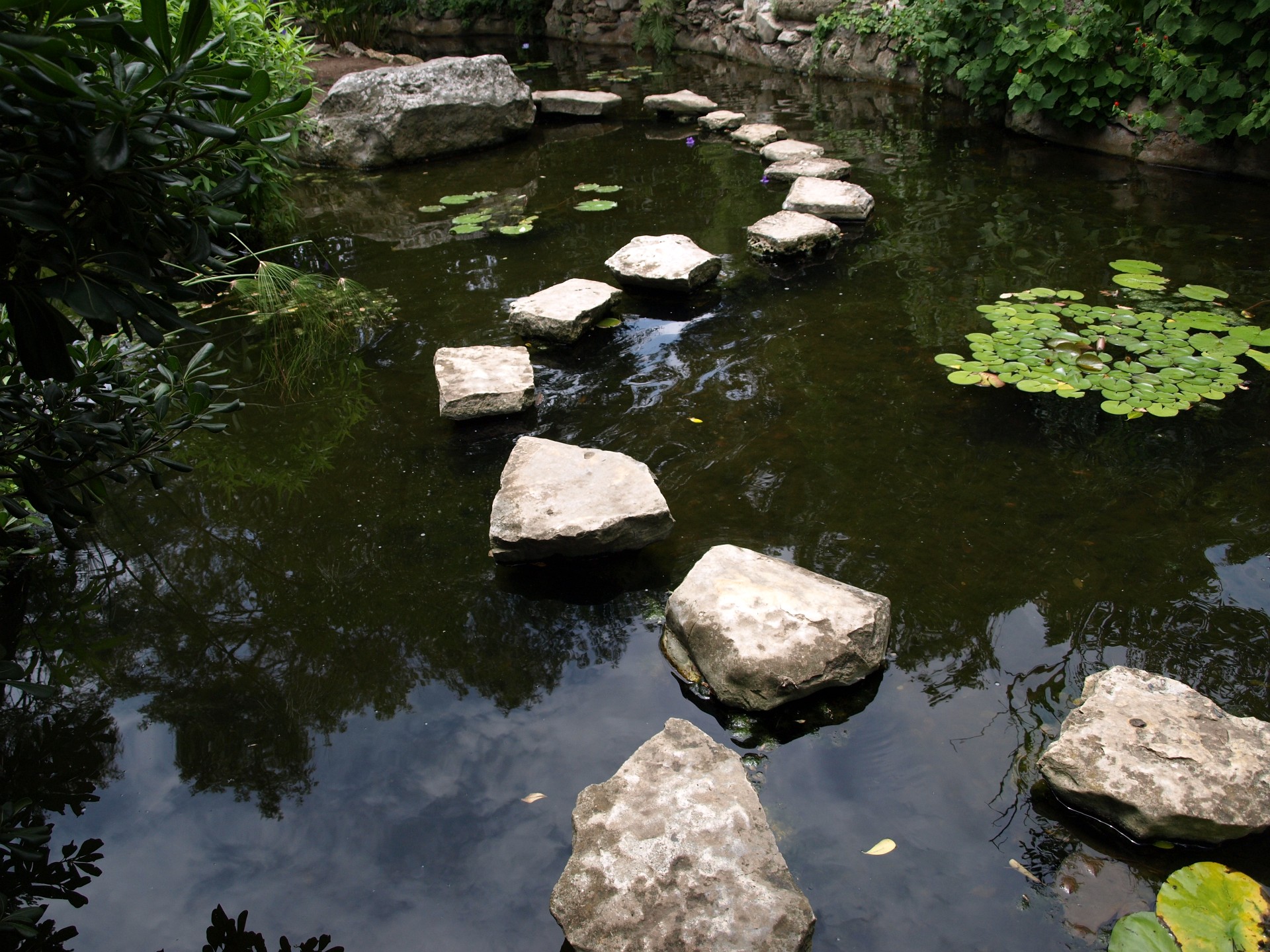 Stepping Stones in the Koi Pond